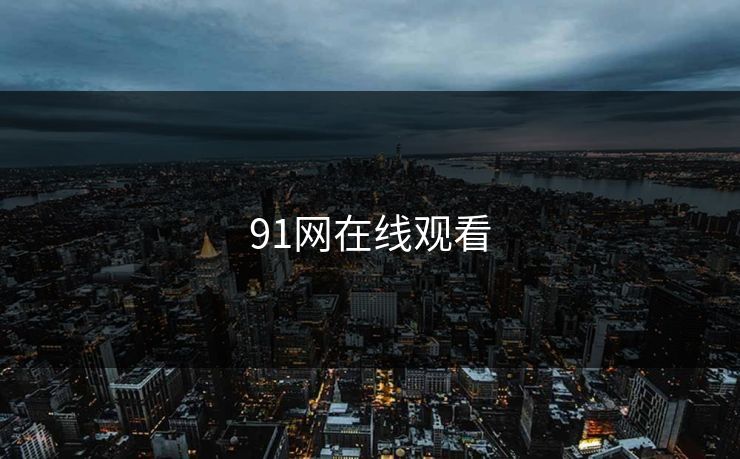 91网在线观看
