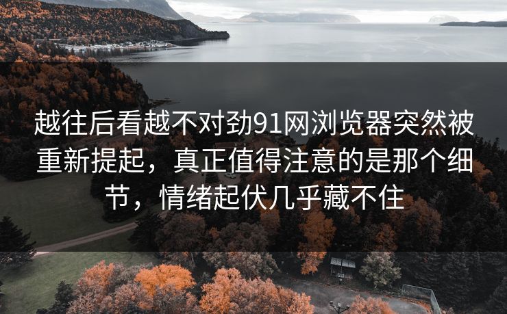 越往后看越不对劲91网浏览器突然被重新提起，真正值得注意的是那个细节，情绪起伏几乎藏不住