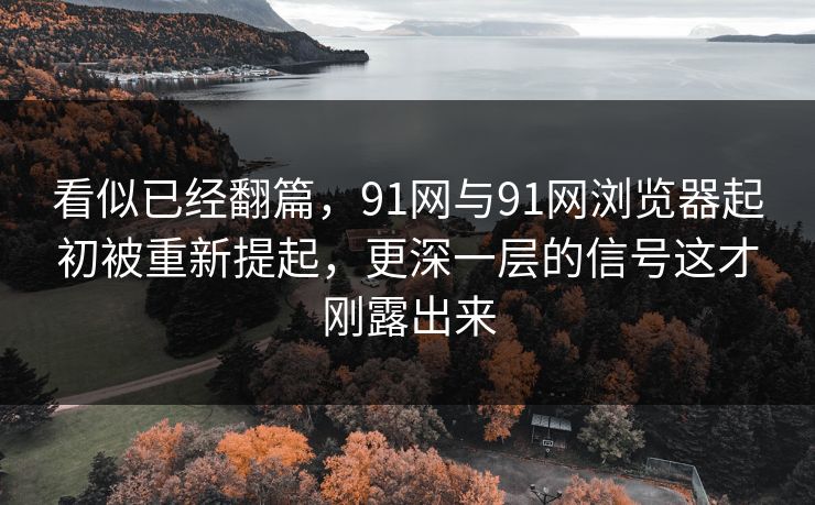 看似已经翻篇，91网与91网浏览器起初被重新提起，更深一层的信号这才刚露出来