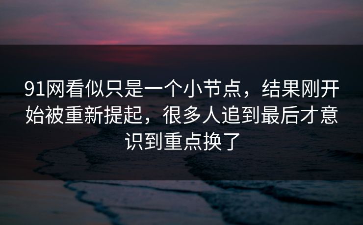 91网看似只是一个小节点，结果刚开始被重新提起，很多人追到最后才意识到重点换了