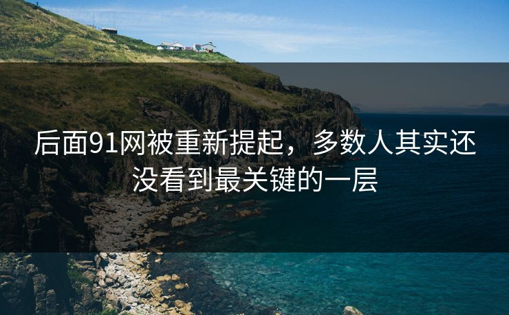 后面91网被重新提起，多数人其实还没看到最关键的一层
